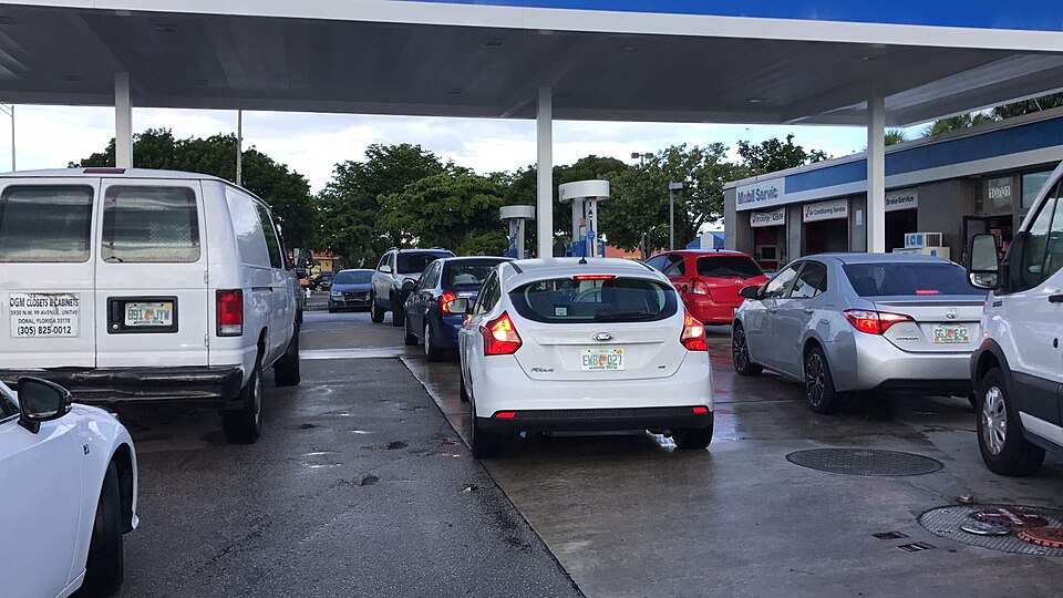 AutoPinigai